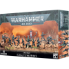 Warhammer 40000: DRUKHARI KABALITE WARRIORS